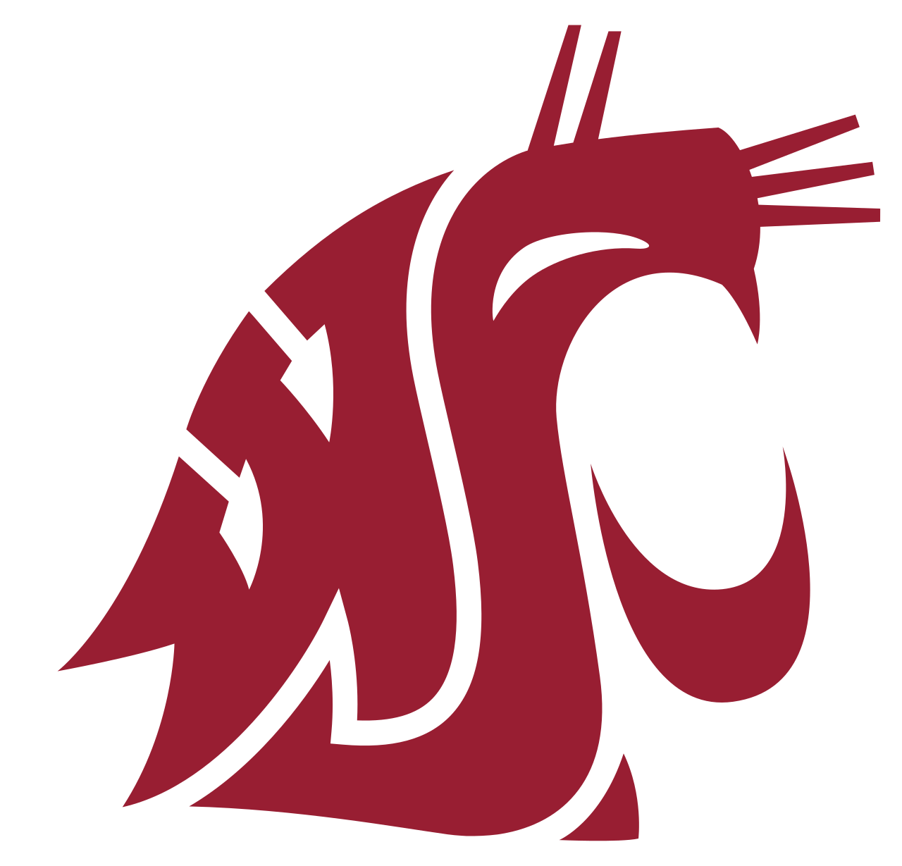 Washington St Cougars