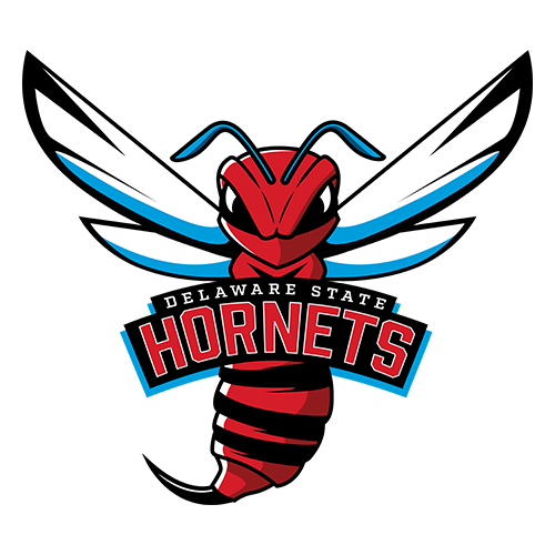 Delaware St Hornets